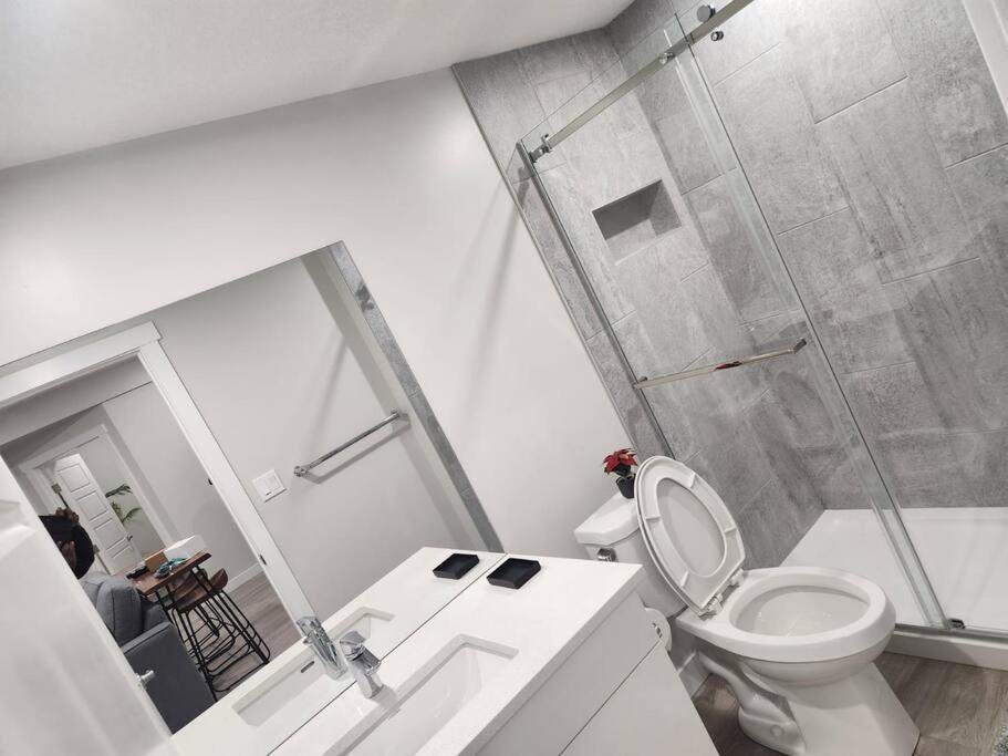 Cozy Basement For A Lovely & Perfect For Wfh Edmonton